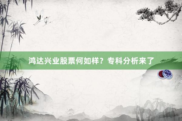 鸿达兴业股票何如样？专科分析来了